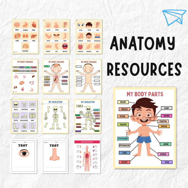 15000+ kids’ worksheet bundle + 800+ Free E Books